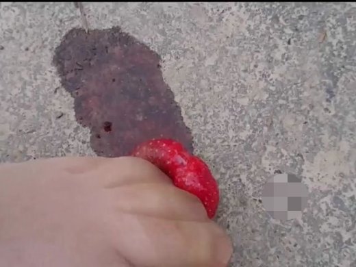 Amateurvideo Die Zweite Erdbeere zertreten ** Nylon Spaß  ** von nylonjunge
